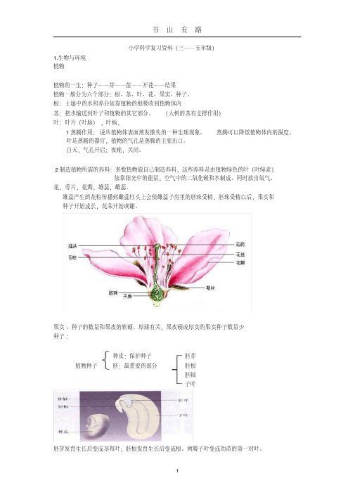 教科版小学科学毕业总复习提纲PDF.pdf