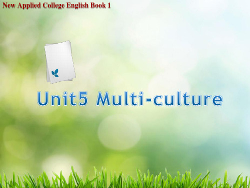 新应用大学英语第一册新版课件Unit5-Multi-culture资料