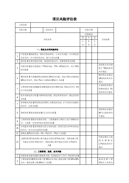 项目风险评估表