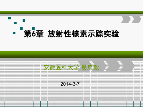 核医学第6章 放射性核素示踪技术