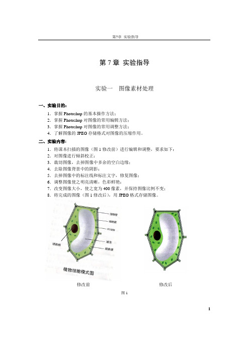 现代教育技术PS实验指导