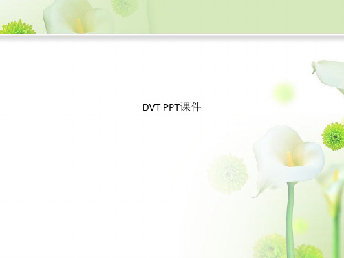 DVT PPT课件