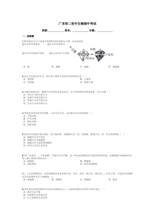 广东初二初中生物期中考试带答案解析
