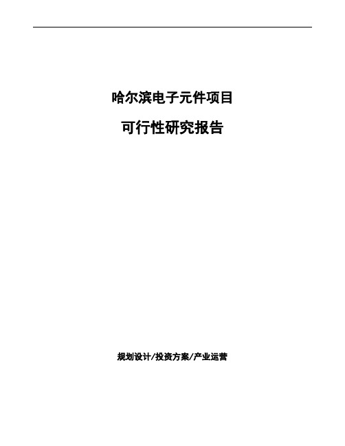 哈尔滨电子元件项目可行性研究报告