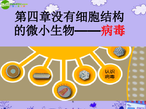 七年级生物上册 没有细胞结构的微小生物——病毒课件 人教新课标版