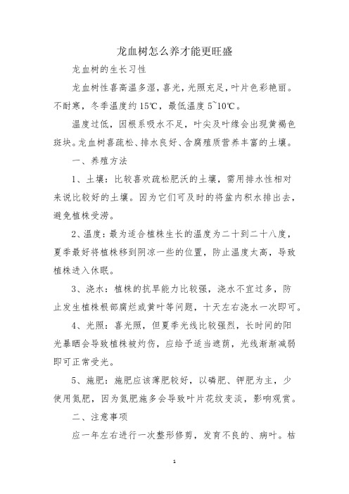 龙血树怎么养才能更旺盛