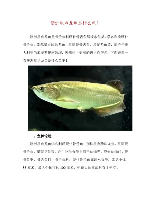 澳洲星点龙鱼是什么鱼？