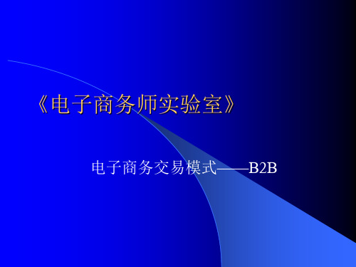 电子商务实验室实验指导_电子商务交易模式—？？B2B资料