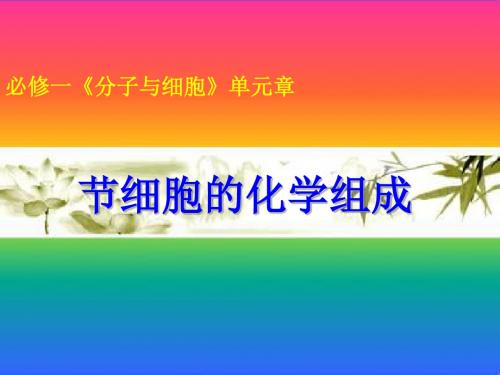 《细胞的化学组成 33张》PPT课件