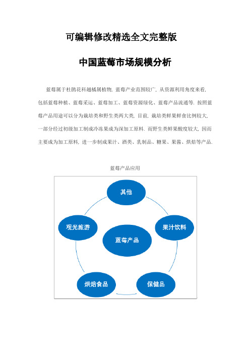 中国蓝莓市场规模分析精选全文