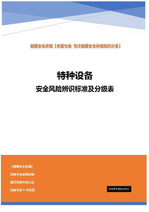 特种设备安全风险辨识标准及分级表