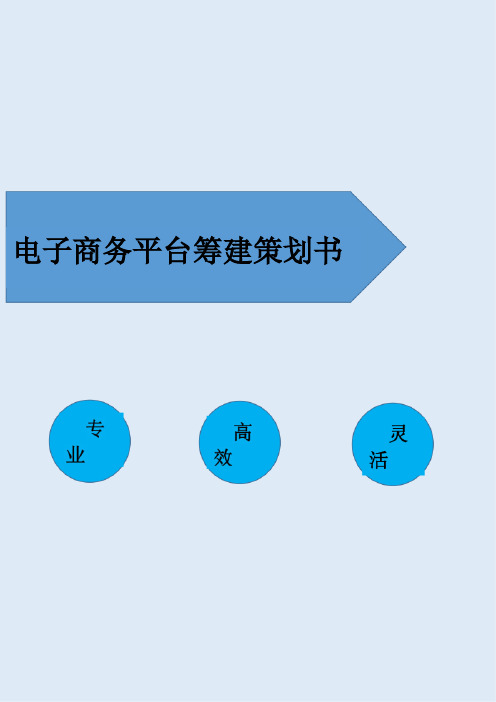 电子商务运营平台筹建及策划方案