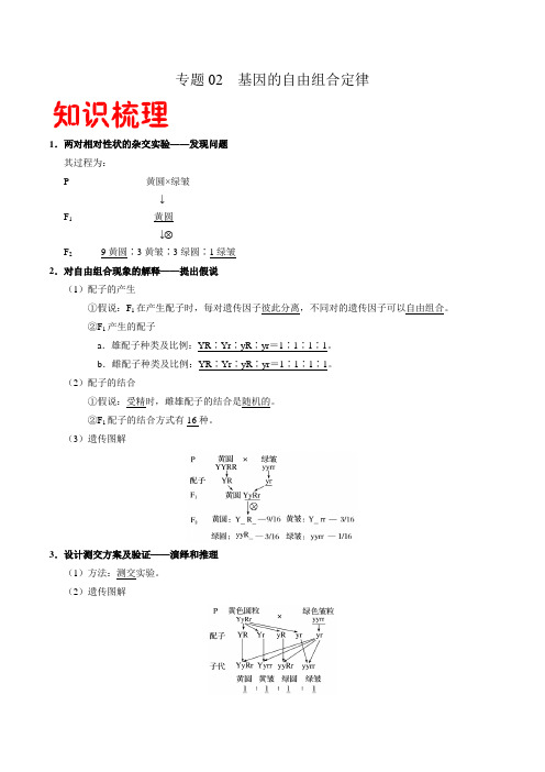 2021年高一生物下学期期末复习专题02 基因的自由组合定律(人教版必修2)(Word学生考试版)