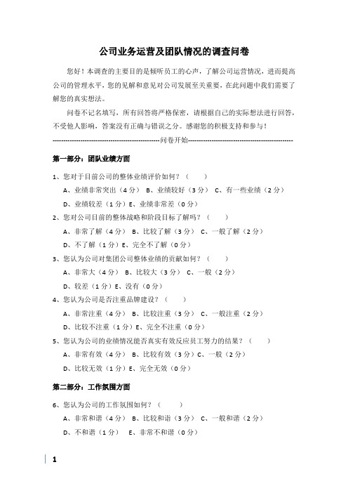 公司业务运营及团队情况的调查问卷