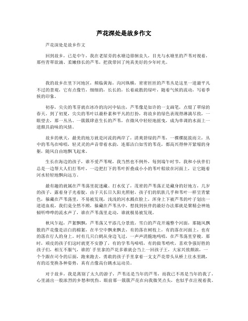 芦花深处是故乡作文