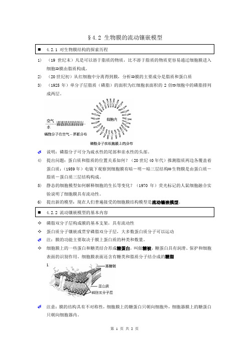 【个人珍藏版】高中人教版生物必修1学生笔记:4.2 生物膜的流动镶嵌模型