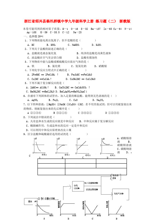 浙江省绍兴县杨汛桥镇中学九年级科学上册 练习题（二）浙教版