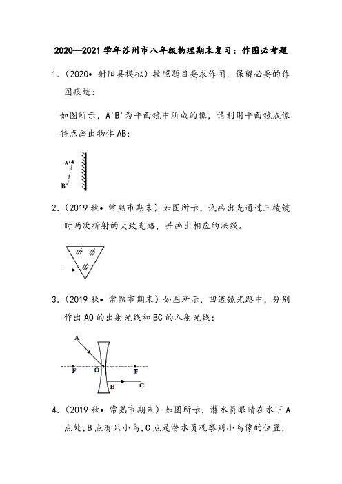 2020—2021学年第一学期江苏省苏州市八年级物理期末复习：作图必考题