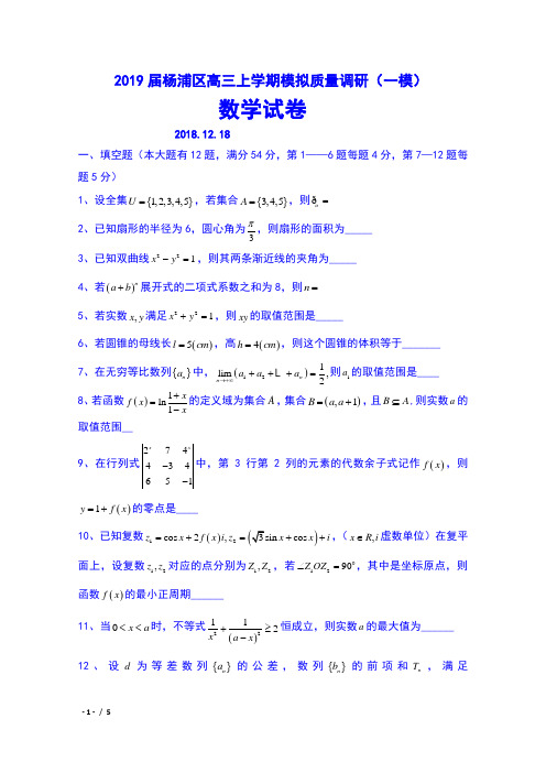 2019届上海市杨浦区高三上学期模拟质量调研(一模)数学试卷及答案