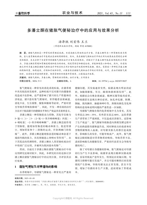 219527831_多潘立酮在猪胀气便秘治疗中的应用与效果分析