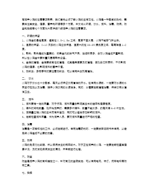 饲养小鸡的注意事项教案