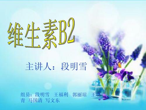 维生素B2