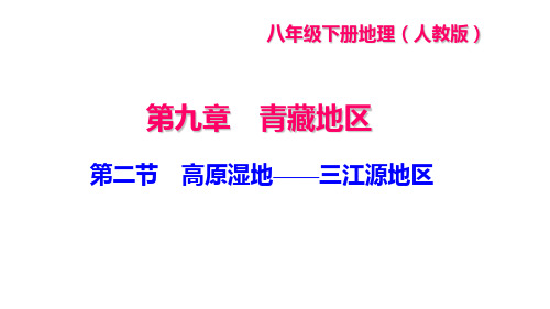 人教版八年级下册地理作业课件(RJ) 第九章 青藏地区 第二节 高原湿地——三江源地区