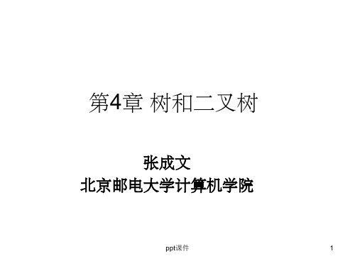 《数据结构课件、代码》第4章 树和二叉树