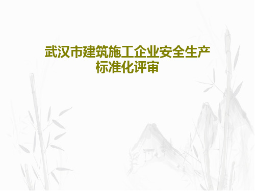 武汉市建筑施工企业安全生产标准化评审46页PPT