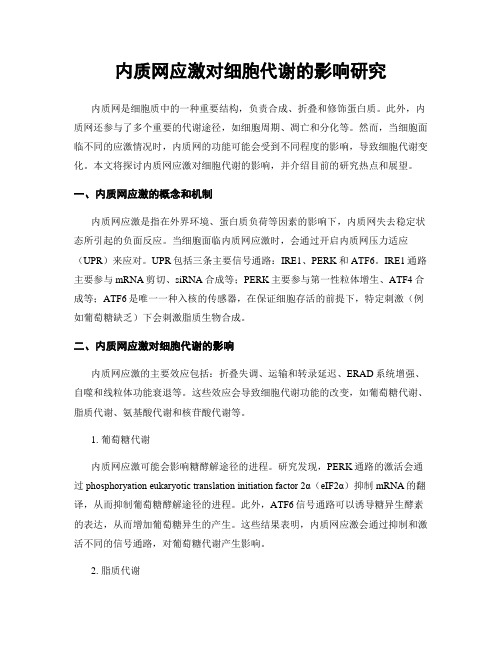 内质网应激对细胞代谢的影响研究