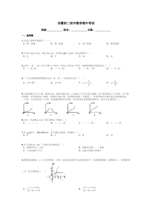 安徽初二初中数学期中考试带答案解析
