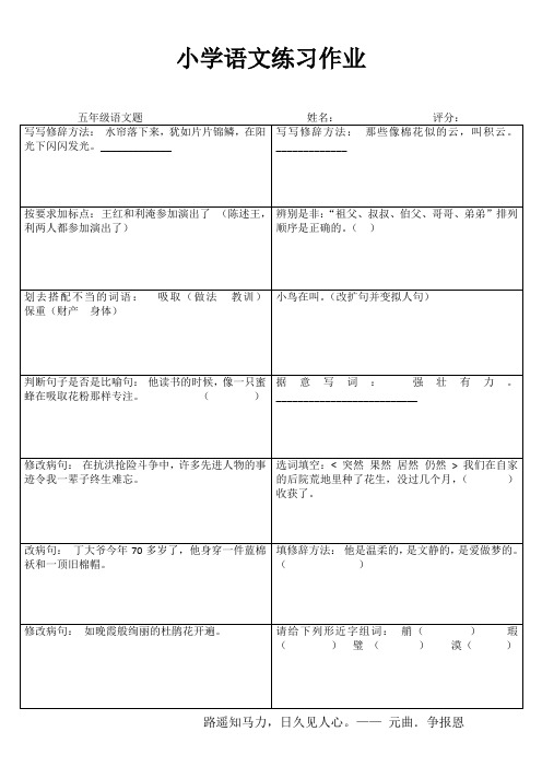 小学五年级语文精作细练III (9)