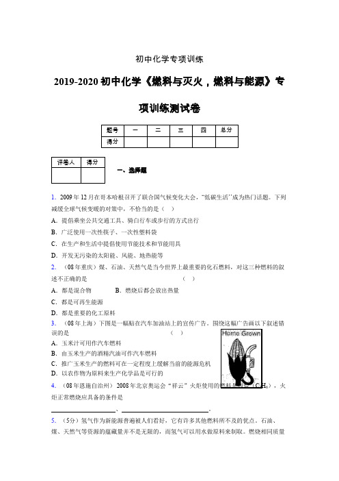 2019-2020学年初中化学《燃料与灭火,燃料与能源》专项训练模拟测试(含答案) (270)