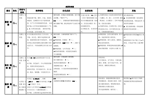 各类细菌的分类鉴定