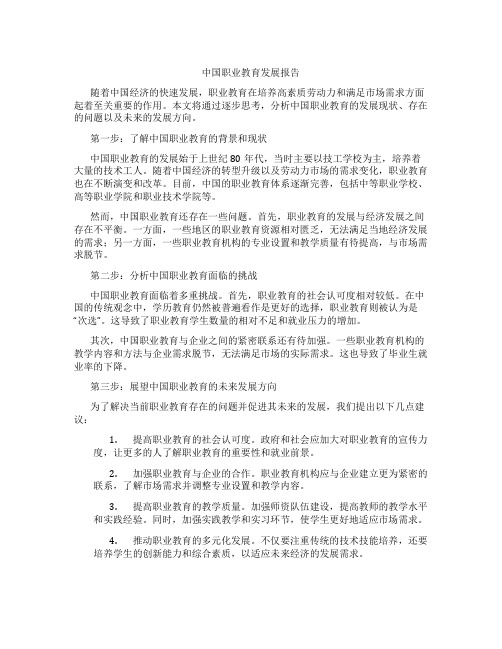 中国职业教育发展报告