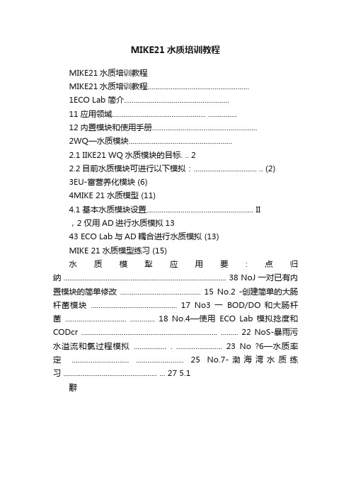 MIKE21水质培训教程