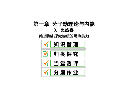 1.3.1 探究物质的吸热能力—2020教科版九年级物理全册习题课件(共29张PPT)