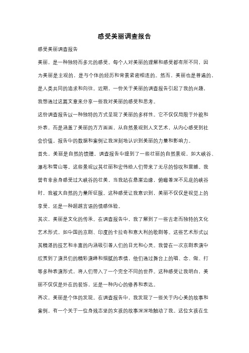 感受美丽调查报告