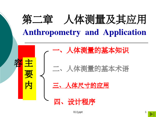 《人体测量学》PPT课件 (2)