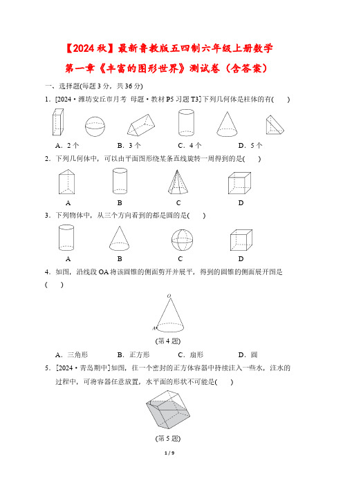 【2024秋】最新鲁教版五四制六年级上册数学第一章《丰富的图形世界》测试卷(含答案)