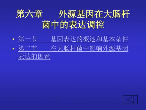 外源基因在大肠杆菌中的表达调控