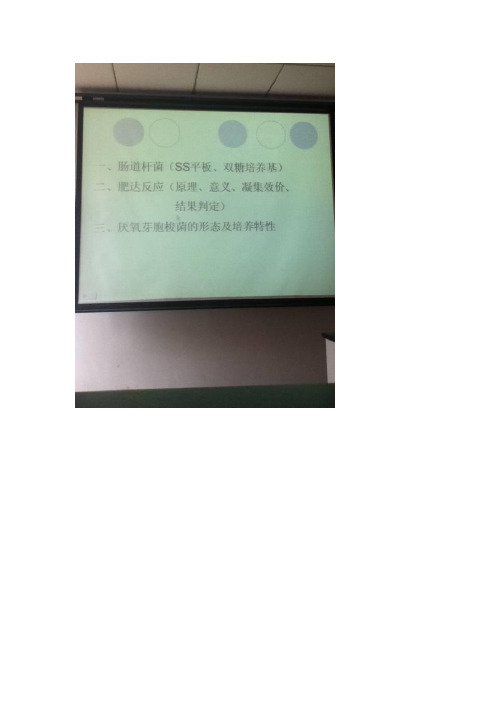 医学微生物实验图谱