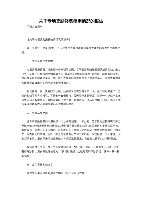 关于专项奖励经费使用情况的报告