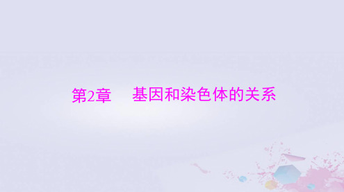 2024届高考生物一轮总复习必修2第2章基因和染色体的关系第1节减数分裂和受精作用课件