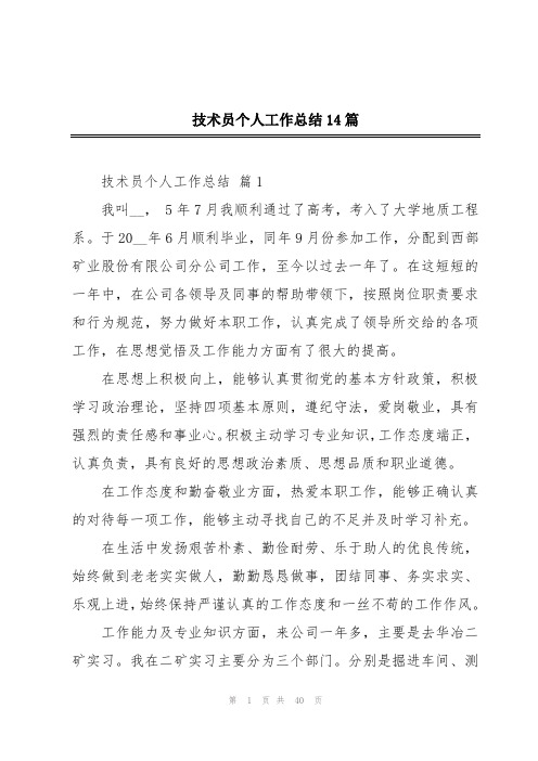 技术员个人工作总结14篇