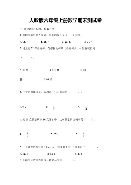 人教版六年级上册数学期末测试卷含完整答案(易错题)