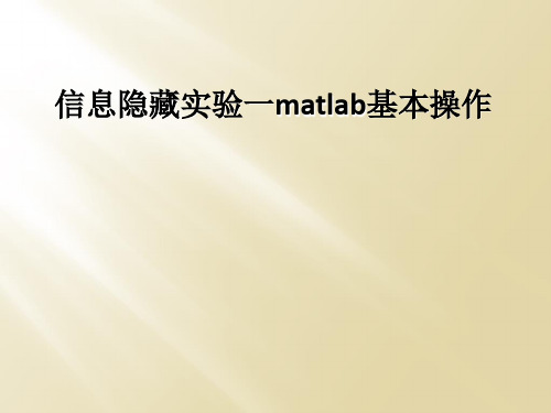 信息隐藏实验一matlab基本操作