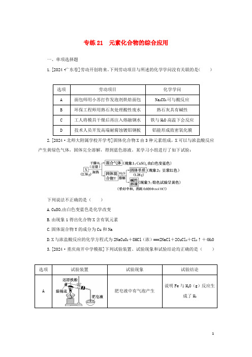 2025版新教材高考化学微专题小练习专练21元素化合物的综合应用