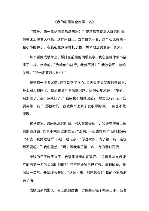 我的心愿当全班第一名作文