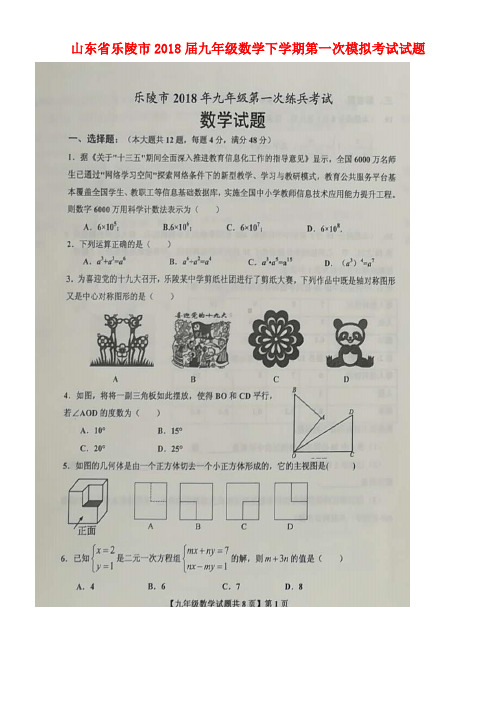 山东省乐陵市2018届九年级数学下学期第一次模拟考试试题(扫描版)